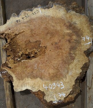 Amboina burl, approx. 740 x 740 x 52mm, 14,8kg, 40943