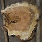 Amboina burl, approx. 740 x 740 x 52mm, 14,8kg