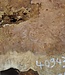Amboina burl, approx. 740 x 740 x 52mm, 14,8kg