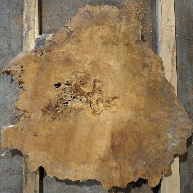 Amboina burl, approx. 740 x 740 x 52mm, 14,8kg