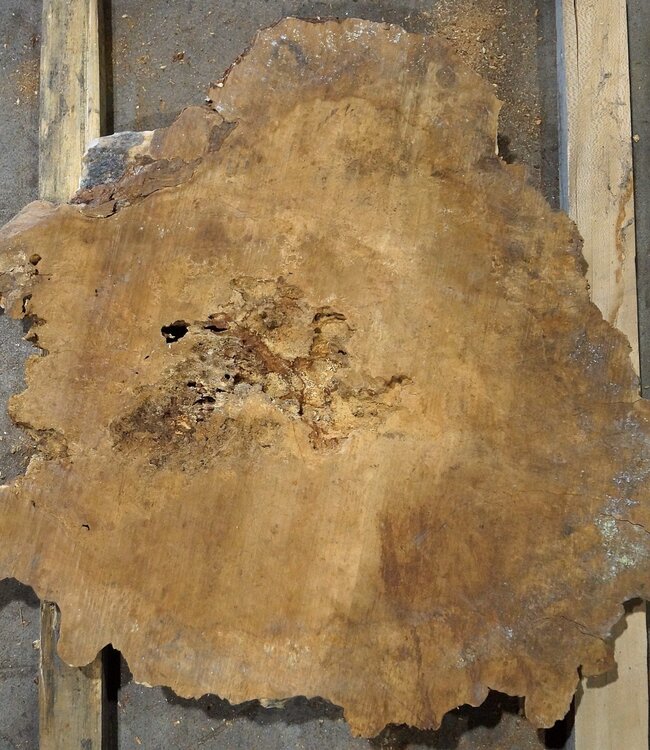 Amboina Maser, ca. 740 x 740 x 52 mm, 14,8kg