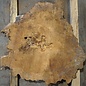 Amboina Maser, ca. 740 x 740 x 52 mm, 14,8kg