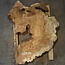 Amboina burl, approx. 1170 x 800 x 55mm, 28,2kg