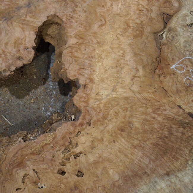 Amboina Maser, ca. 1170 x 800 x 55 mm, 28,2kg