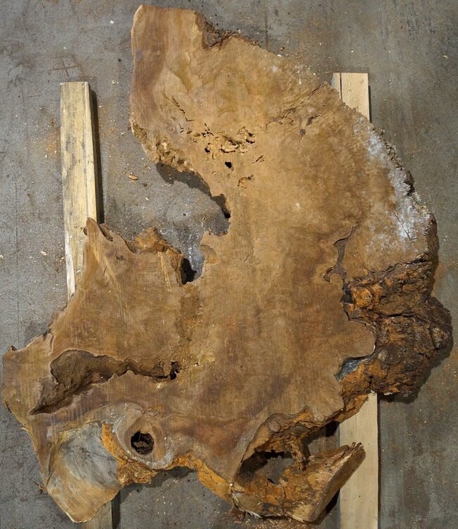 Amboina burl, approx. 1170 x 800 x 55mm, 28,2kg