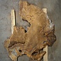 Amboina Maser, ca. 1170 x 800 x 55 mm, 28,2kg