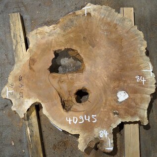 Amboina burl, approx. 840 x 840 x 55mm, 21,6kg