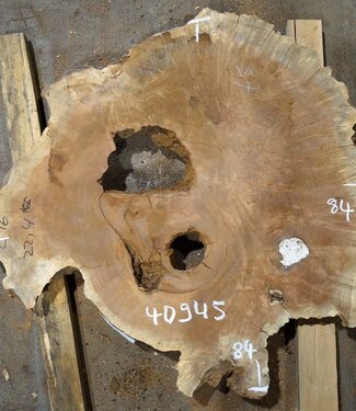 Amboina burl, approx. 840 x 840 x 55mm, 21,6kg, 40945
