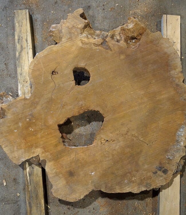 Amboina Maser, ca. 840 x 840 x 55 mm, 21,6kg