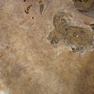 Amboina burl, approx. 1050 x 1000 x 52mm, 25kg