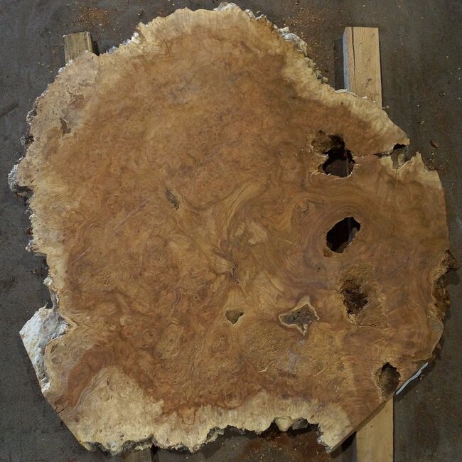 Amboina Maser, ca. 1050 x 1000 x 52 mm, 25kg