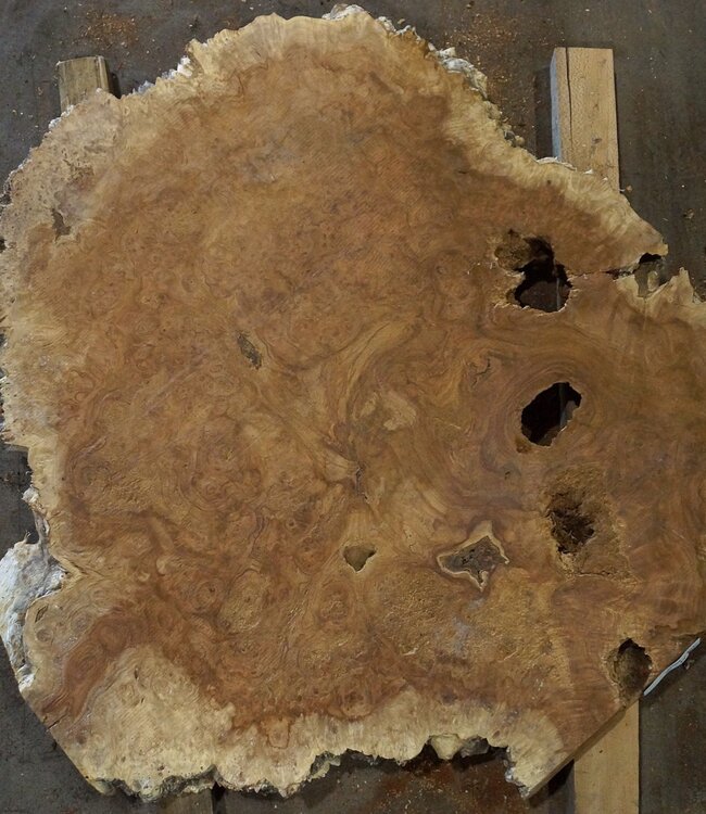 Amboina burl, approx. 1050 x 1000 x 52mm, 25kg