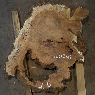 Amboina burl, approx. 900 x 730 x 55mm, 19,3kg, 40947