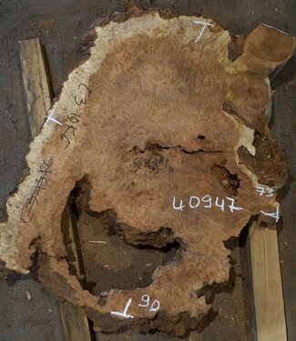 Amboina Maser, ca. 900 x 730 x 55 mm, 19,3kg, 40947