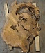 Amboina burl, approx. 900 x 730 x 55mm, 19,3kg