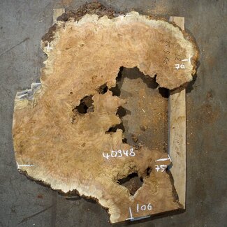 Amboina Maser, ca. 1060 x 760 x 50 mm, 20,9kg, 40948