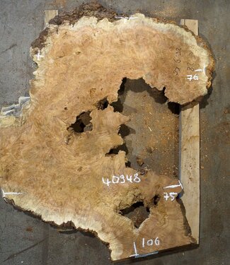 Amboina burl, approx. 1060 x 760 x 50mm, 20,9kg, 40948