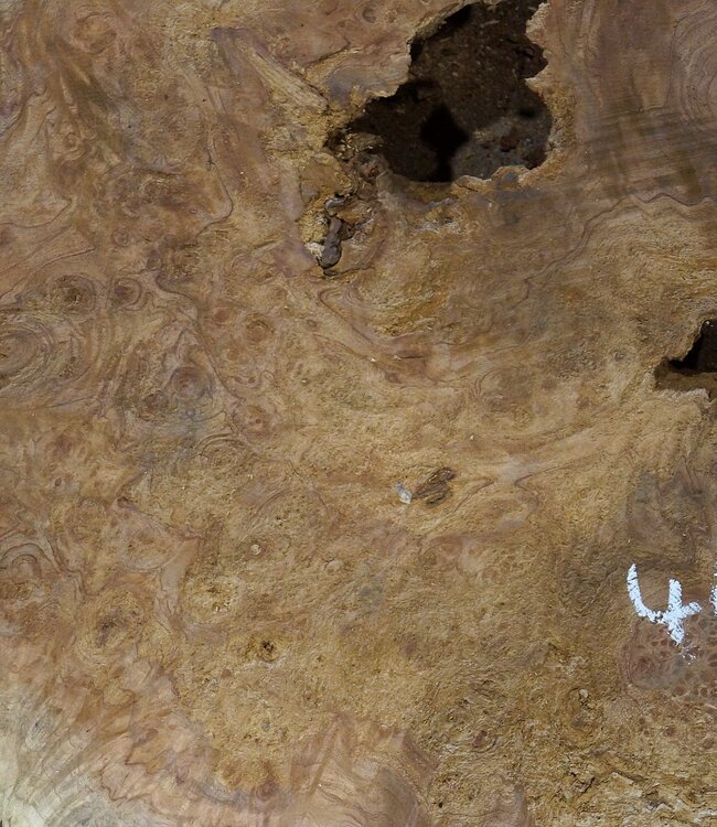 Amboina burl, approx. 1060 x 760 x 50mm, 20,9kg