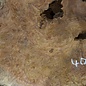 Amboina burl, approx. 1060 x 760 x 50mm, 20,9kg