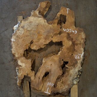 Amboina burl, approx. 1050 x 860 x 55mm, 23,2kg, 40949
