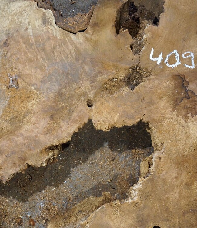 Amboina Maser, ca. 1050 x 860 x 55 mm, 23,2kg