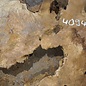 Amboina Maser, ca. 1050 x 860 x 55 mm, 23,2kg
