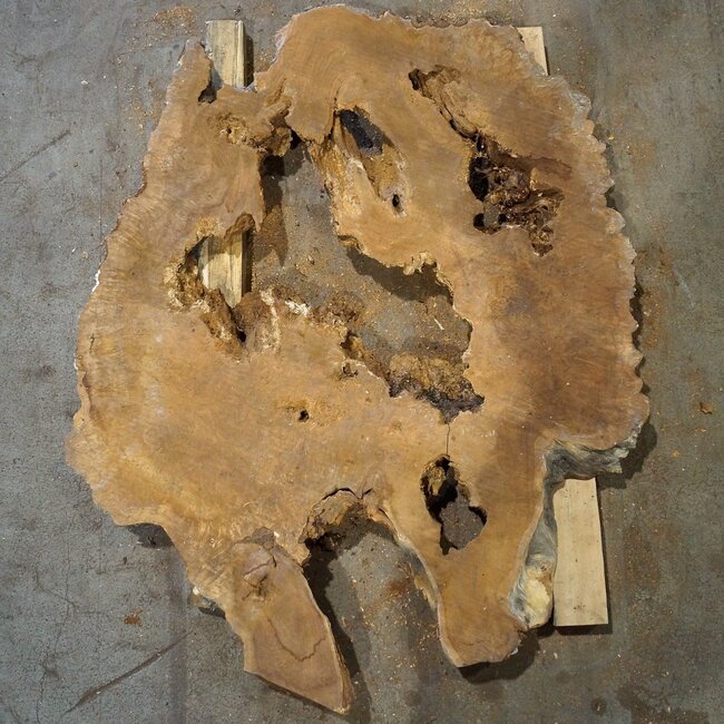 Amboina Maser, ca. 1050 x 860 x 55 mm, 23,2kg