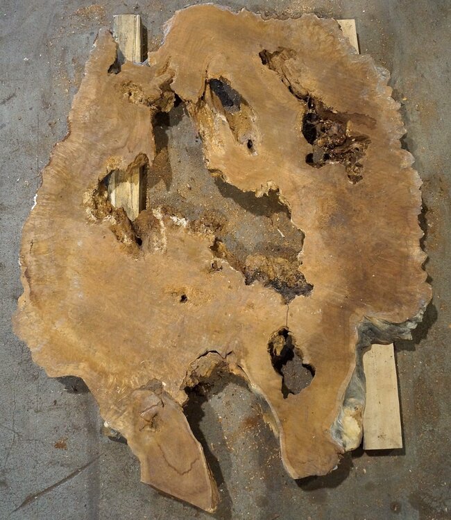 Amboina burl, approx. 1050 x 860 x 55mm, 23,2kg