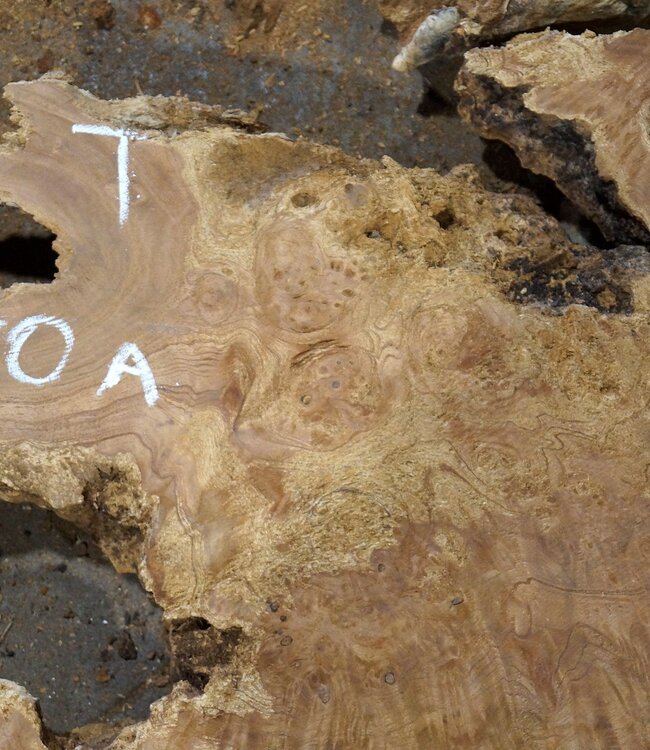 Amboina Maser A+B:  ca. 1100 x 420 x 55 mm + ca. 980 x 480 x 55 mm, 21kg