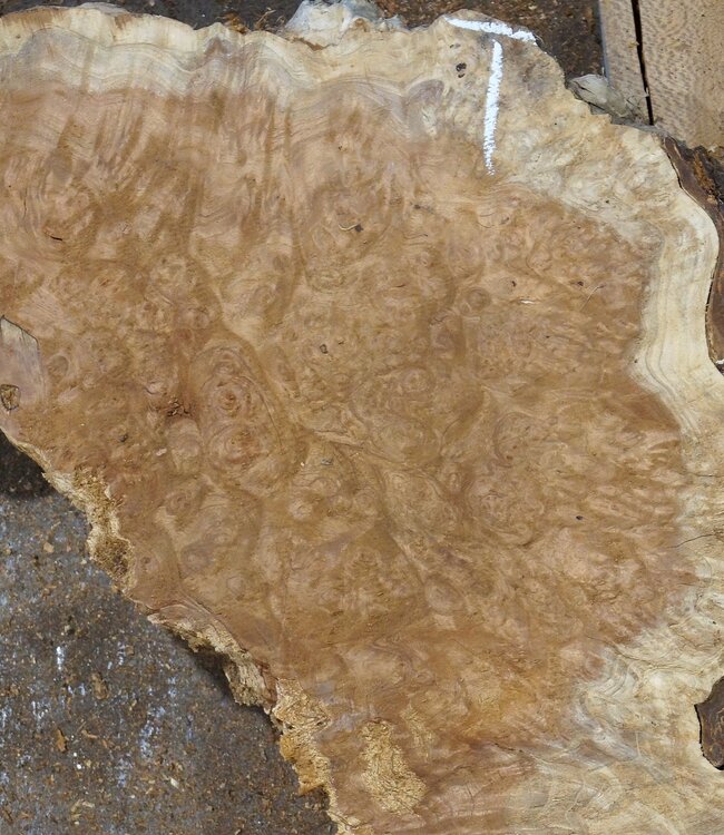 Amboina Maser A+B:  ca. 1100 x 420 x 55 mm + ca. 980 x 480 x 55 mm, 21kg