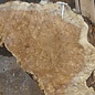 Amboina burl A+B, approx.1100 x 420 x 55mm + ca. 980 x 480 x 55mm, 21kg