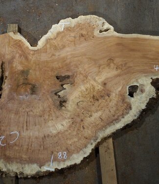 Amboina burl, approx. 1440 x 880 x 40-55mm, 31,1kg, 40952