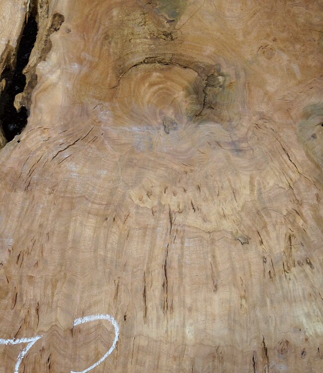 Amboina burl, approx. 1440 x 880 x 40-55mm, 31,1kg