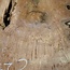 Amboina burl, approx. 1440 x 880 x 40-55mm, 31,1kg