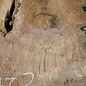 Amboina burl, approx. 1440 x 880 x 40-55mm, 31,1kg