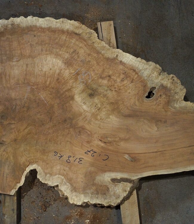 Amboina Maser, ca. 1440 x 880 x 40-55 mm, 31,1kg