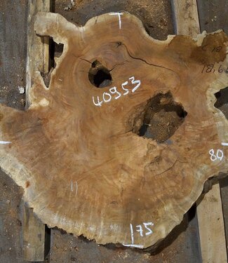 Amboina Maser, ca. 800 x 750 x 55 mm, 21,1kg, 40953