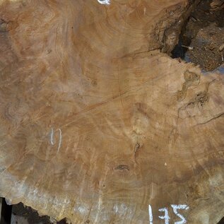 Amboina burl, approx. 800 x 750 x 55mm, 21,1kg