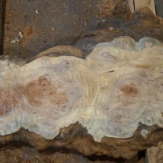 Amboina burl, approx. 1040 x 450 x 40mm, 9,6kg