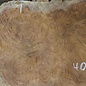 Amboina burl, approx. 1270 x 570 x 52mm, 19,7kg