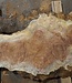 Amboina burl, approx. 1270 x 570 x 52mm, 19,7kg