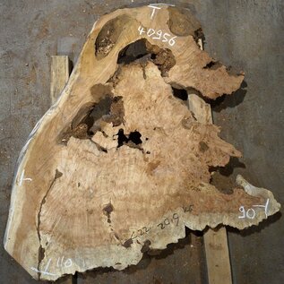 Amboina burl, approx. 900 x 1100 x 52-60mm, 18,7kg