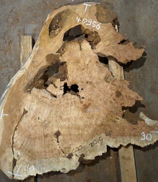 Amboina Maser, ca. 900 x 1100 x 52-60 mm, 18,7kg, 40956