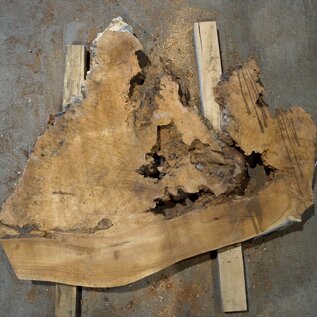 Amboina burl, approx. 900 x 1100 x 52-60mm, 18,7kg