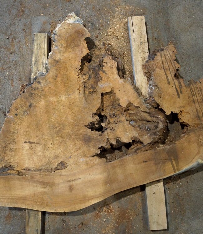 Amboina Maser, ca. 900 x 1100 x 52-60 mm, 18,7kg