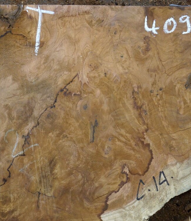 Amboina Maser, ca. 680 x 520 x 52 mm, 10kg