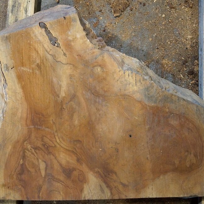 Amboina Maser, ca. 680 x 520 x 52 mm, 10kg