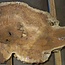 Amboina burl, approx. 1400 x 810 x 40-55mm, 28,2kg