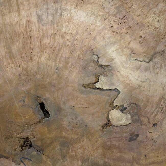 Amboina Maser, ca. 1400 x 810 x 40-55 mm, 28,2kg