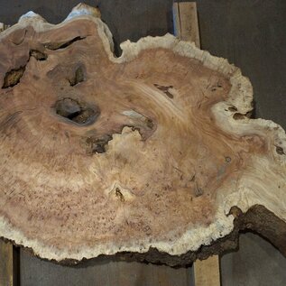 Amboina burl, approx. 1400 x 810 x 40-55mm, 28,2kg